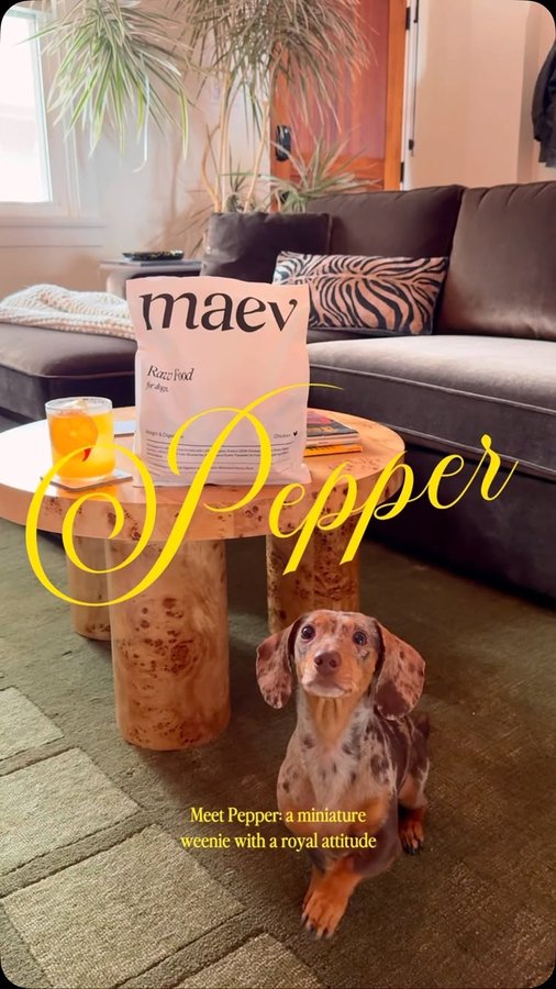 Instagram post by @drinksbyevie for Maev. Caption reads: [...] 11-lb package and raw-fed queen 👑 @meetmaev....