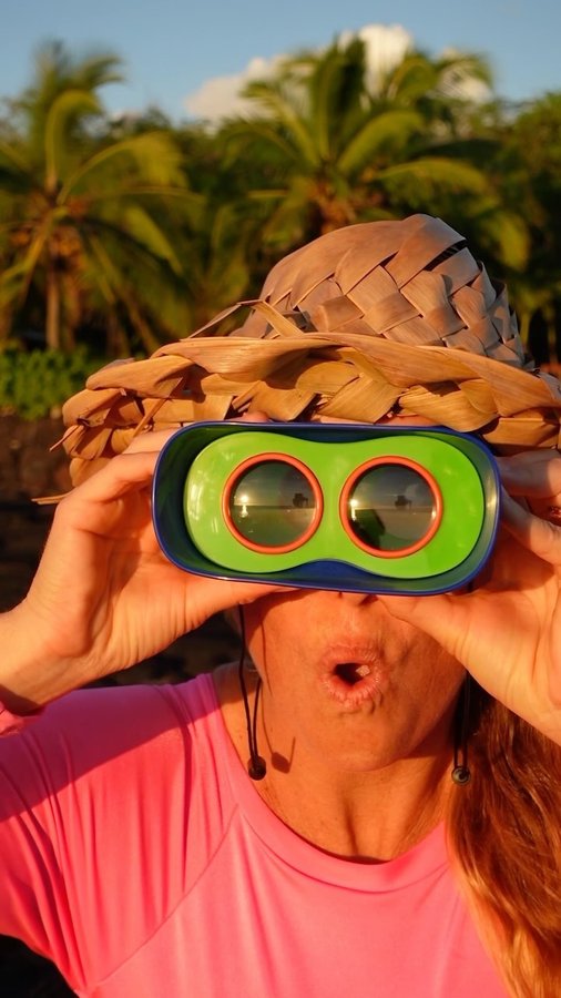 Instagram post by @alisonsadventures for Educational Insights. Caption reads: [...] to get a better look at it!....