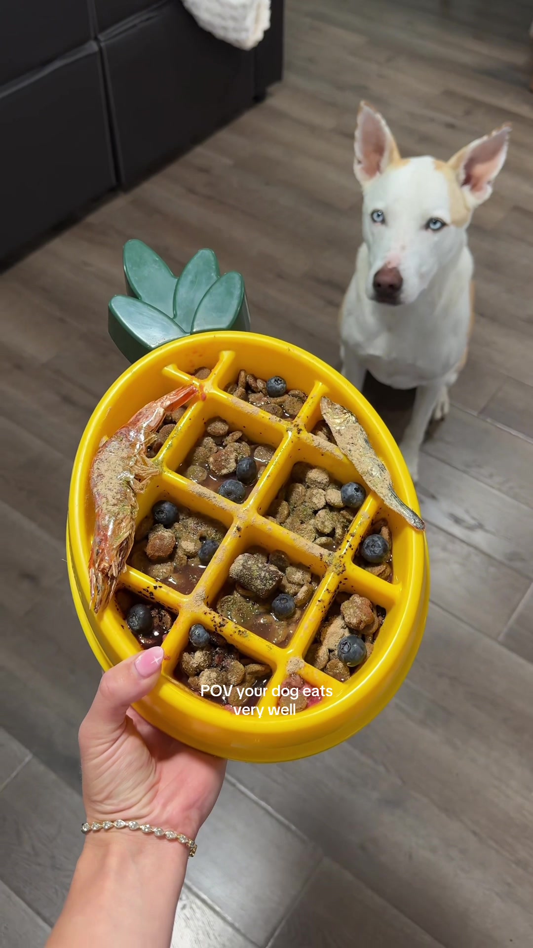 TikTok post by @ceceandherpups for PetHonesty. Caption reads: ASMR dog feeding routine and eating 🍽️🐶@Crumps....