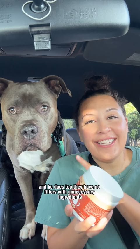 Instagram post by @duke.thebluepit for Fera Pets. Caption reads: [...] he loves the probiotic soft chews from....