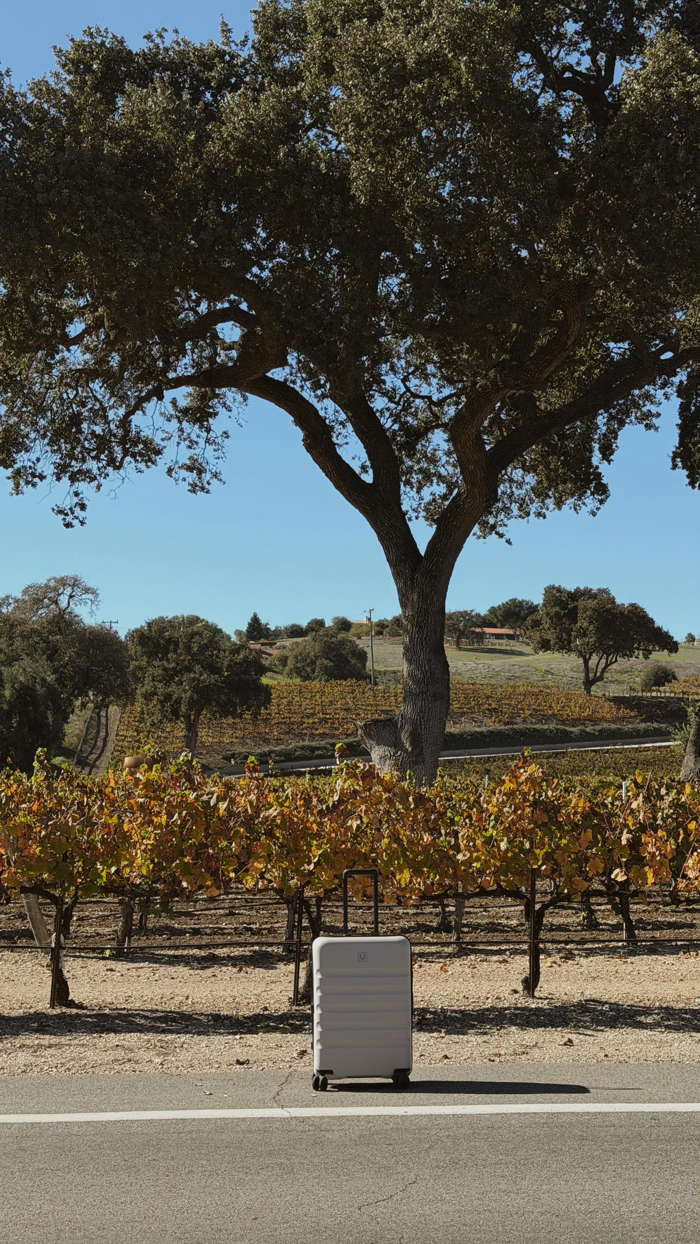 Instagram post by @sarah_najafi for Antler. Caption reads: [...] this 🧳✨
a weekend in Santa Ynez with....