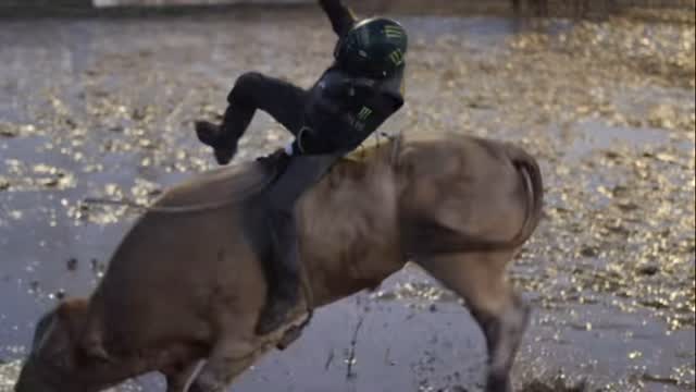 Instagram post by @outlaw365 for Turtlebox. Caption reads: #yetiambassador #outlawnation #yougottaseethis....