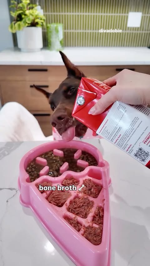 Instagram post by @thedivadobie for Native Pet. Caption reads: [...] used ✅ @openfarmpet ✅ @thepetlabco ✅....