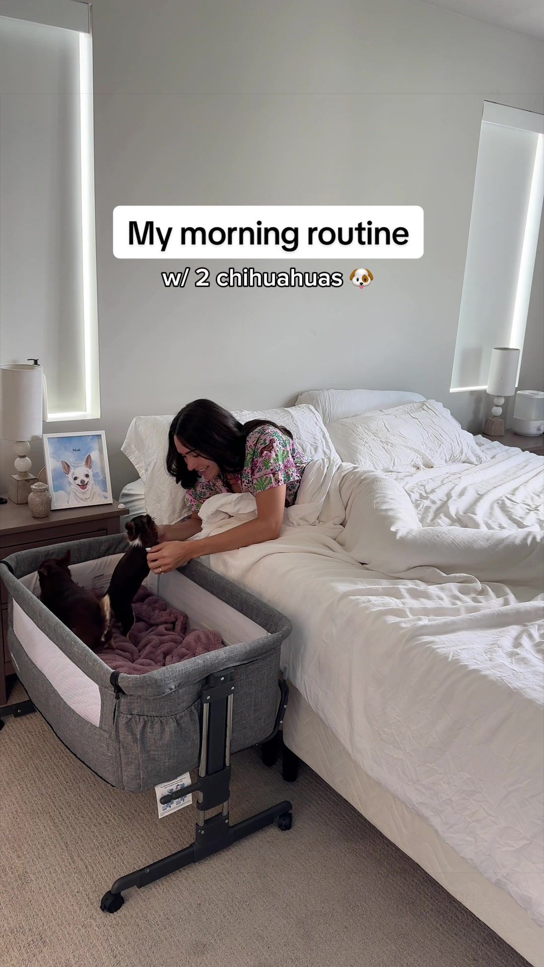 TikTok post by @thestadlerfam for Native Pet. Caption reads: [...] I've been doing lately is adding @Native Pet....