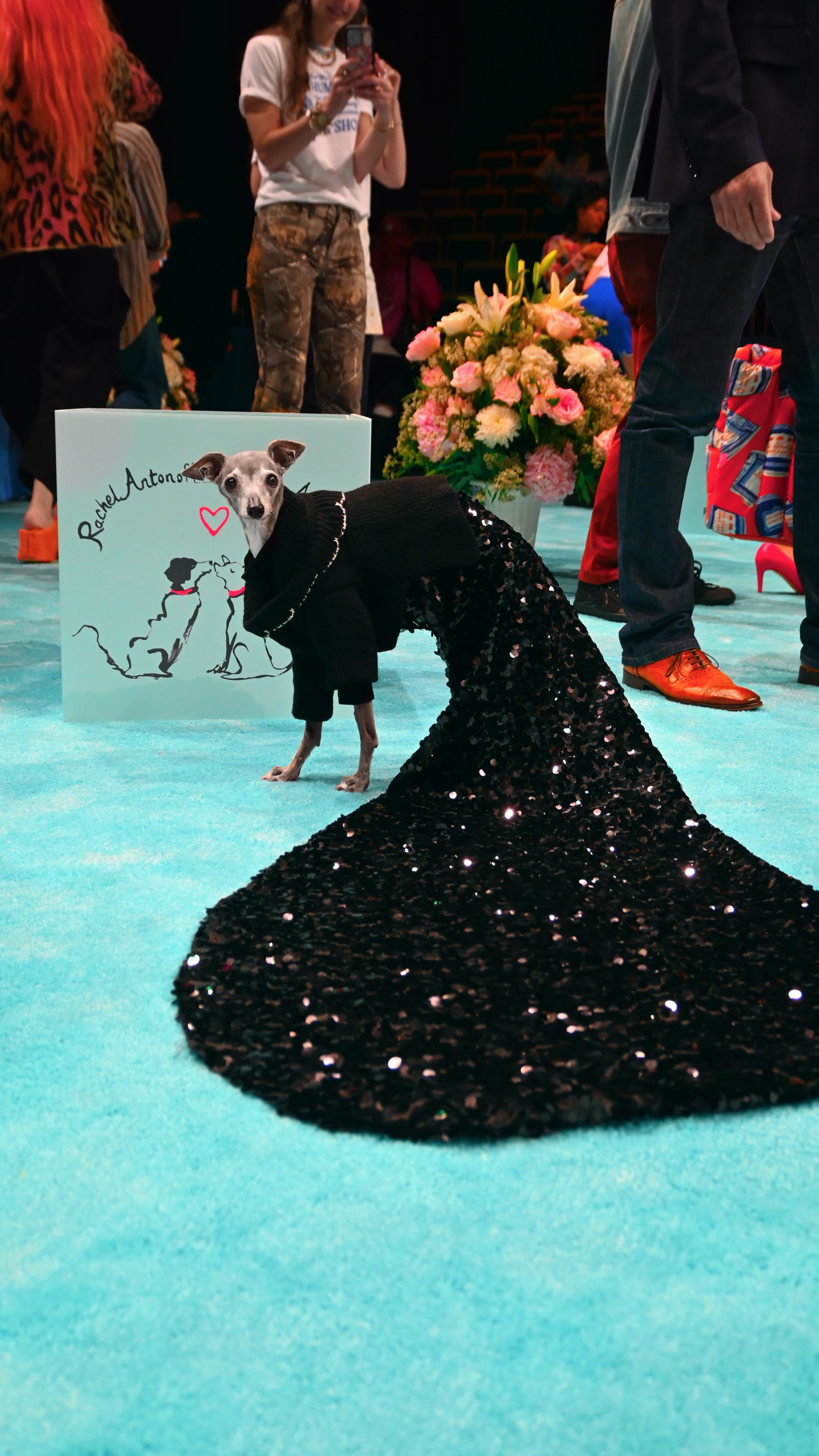 Instagram post by @tikatheiggy for Earth Rated. Caption reads: Getting runway ready at 14-years-old is no joke,....