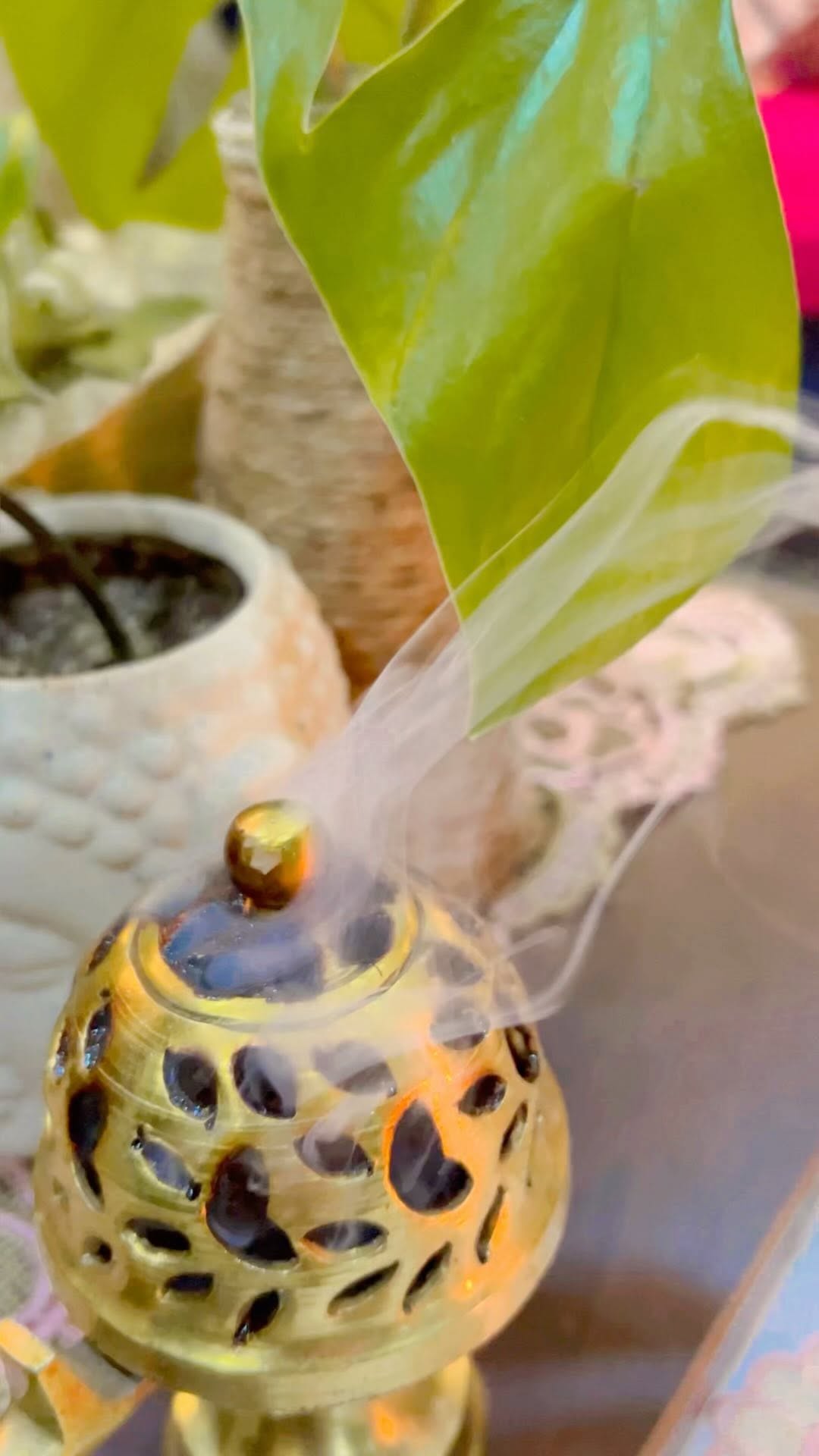 Instagram post by @plantmom_12 for Pepperfry.com. Caption reads: The best journey takes you home.

#homedecor....