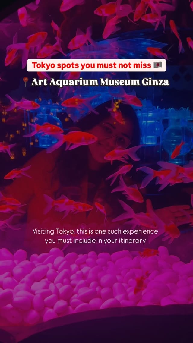 Instagram post by @debosdiary for ARTAQUARIUM. Caption reads: [...] with light, scent and music. #PR....