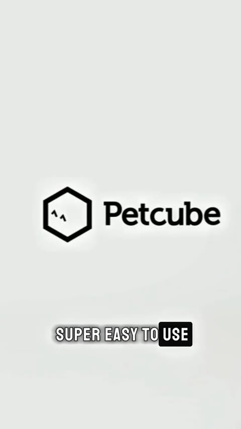 Instagram post by @robynlee.97 for Petcube. Caption reads: Leaving the house like: “They’ll be fine… right?”....