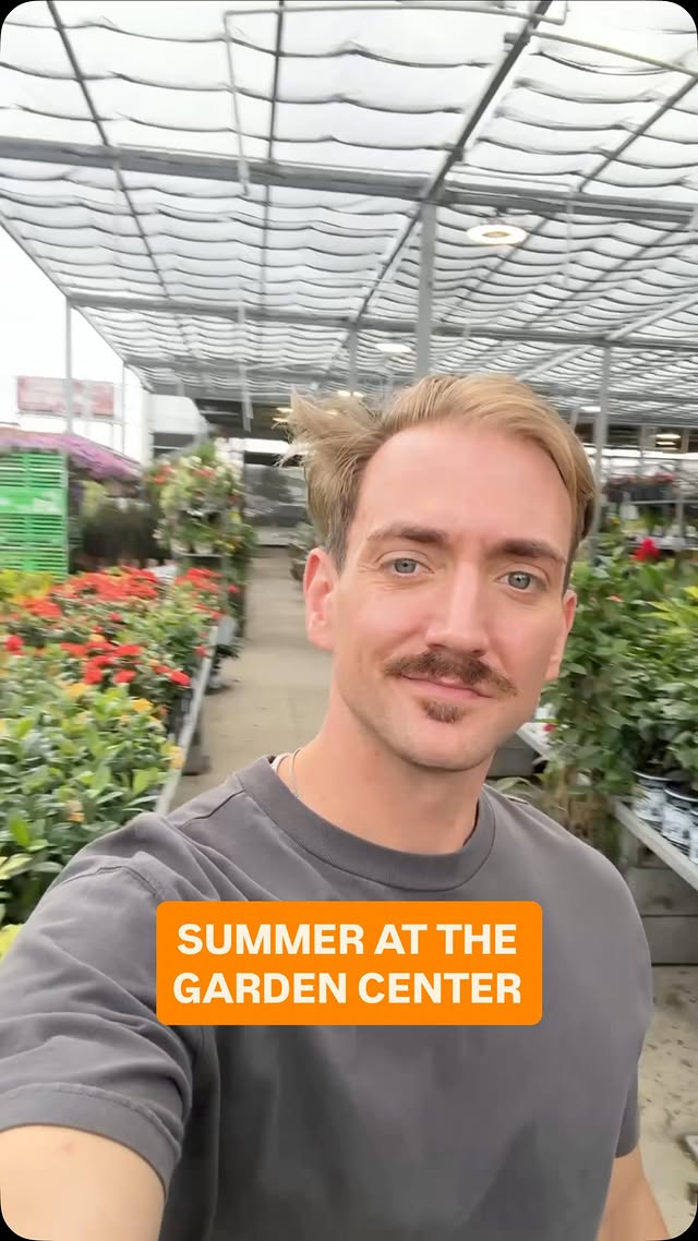 Instagram post by @brandonbotanical for Miracle-Gro. Caption reads: [...] without breaking my summer budget! 🪴....