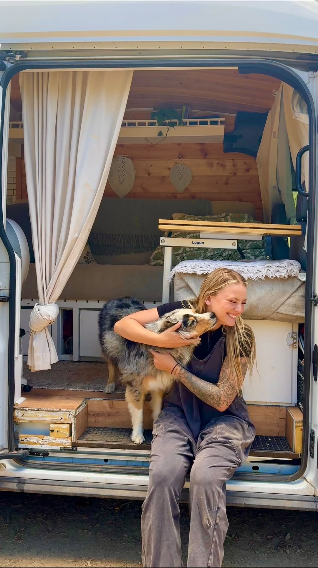 Instagram post by @briwalston for Petsafe. Caption reads: Wanting to pursue road life with your pet but....