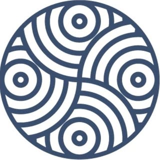 The Rugs