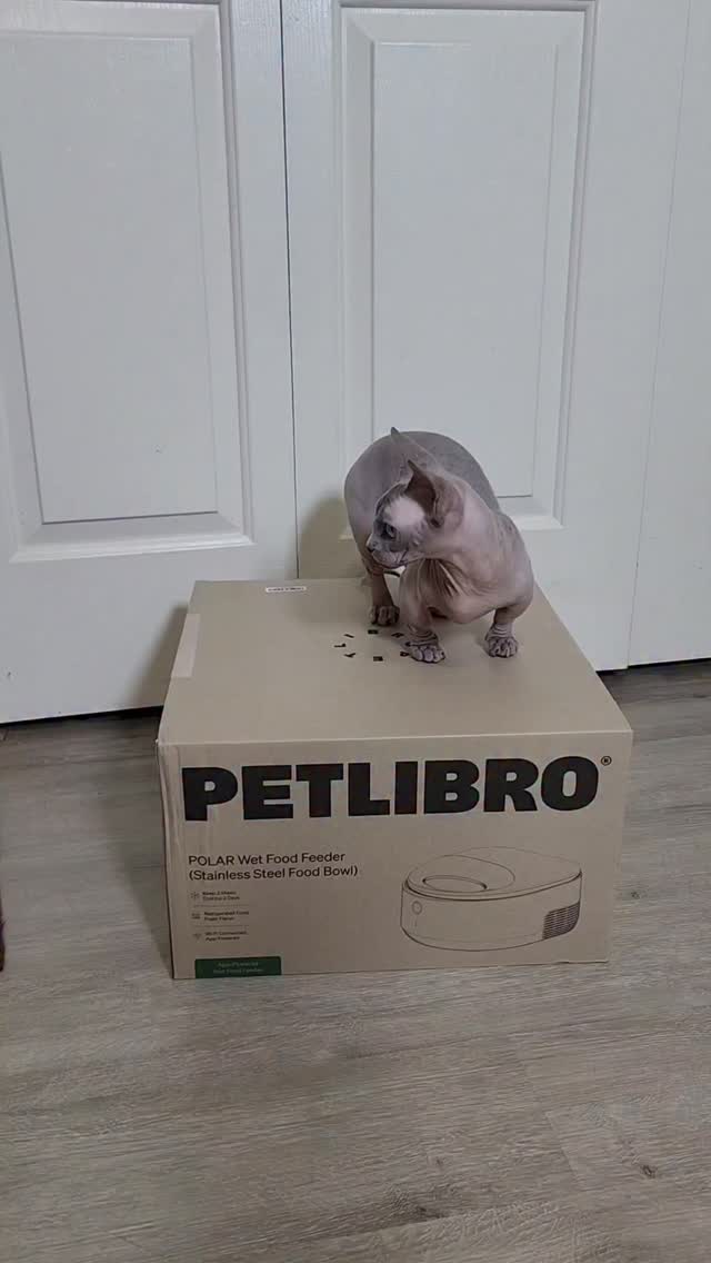 Instagram post by @sphynx.cats.us for Petlibro. Caption reads: Smart, fresh, and easy feeding with the Petlibro....