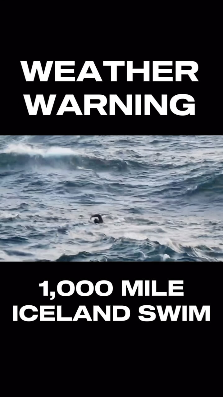 Instagram post by @rossedgley for Gym King. Caption reads: [...] @timmy203 🇮🇸 #NothingBeatsBelief @gymking....