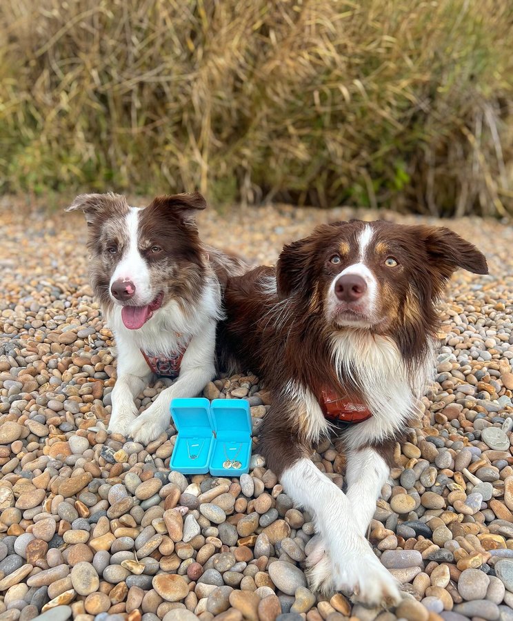 Instagram post by @ronandbert_thecollies for Pupring. Caption reads: [...] the sweetest necklace + bracelet from....