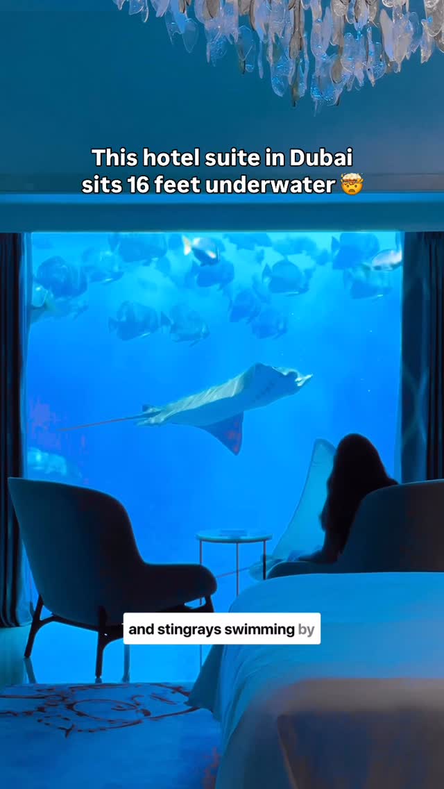 Instagram post by @heymeagan for Travel + Leisure. Caption reads: It’s like having your own personal aquarium. 🐠 🎥....