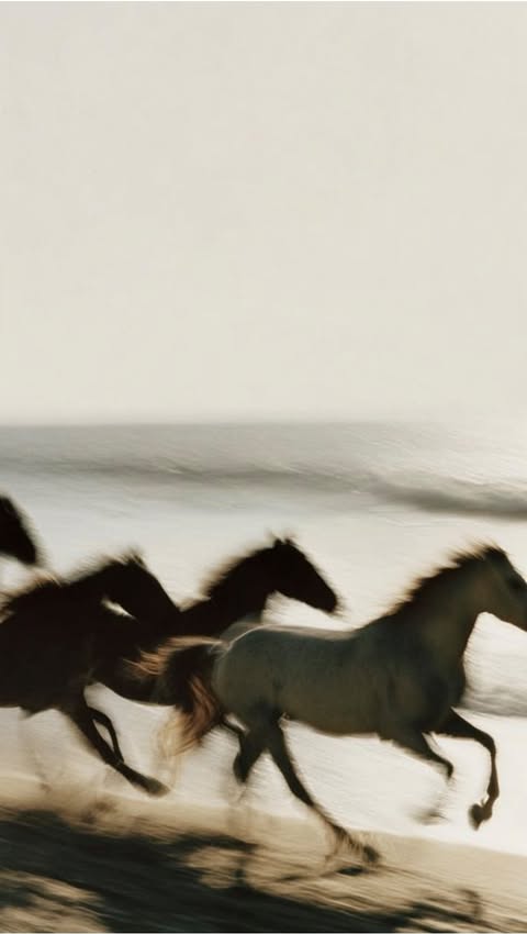 Instagram post by @cindyprado for Fabletics. Caption reads: Style my @fabletics LUXE 360 with me. These....