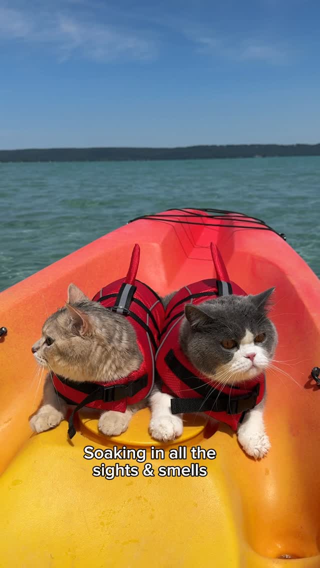 Instagram post by @louieandtodd for Pure Michigan. Caption reads: They enjoyed their kayaking on Glen Lake. It took....