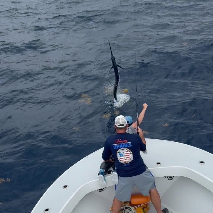 Instagram post by @chipsahoycharters for Daiwa. Caption reads: Still kicking ass!! She is pretty good on the....