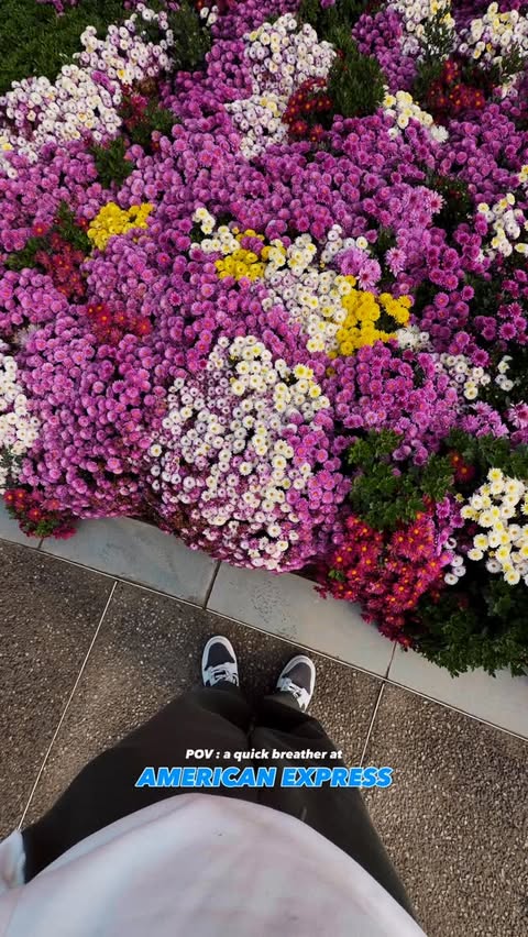 Instagram post by @chiragmohindru for American Express. Caption reads: This spot on campus 🌿 #americanexpresscampus.