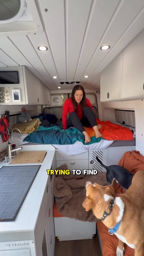 Instagram post by @nikkidelventhal for Lectric eBikes. Caption reads: Despite the chaos that comes with the....