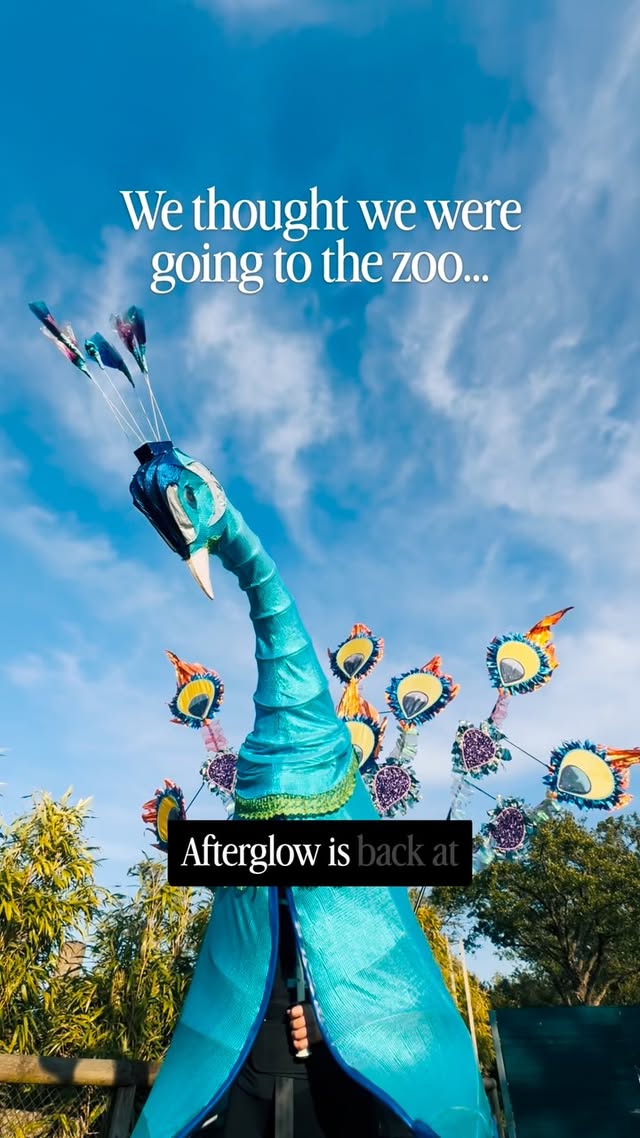 Instagram post by @little_family_adventures__ for Chester Zoo. Caption reads: [...] had the BEST evening at Afterglow at....