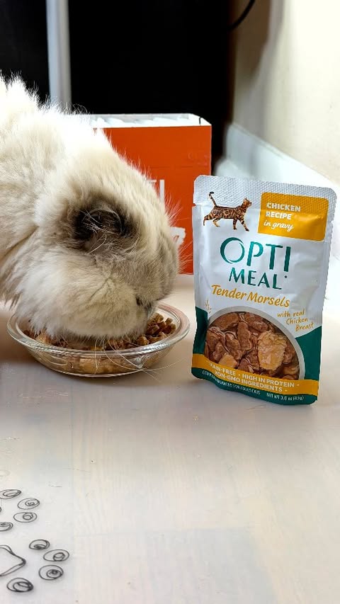 Instagram post by @ualusa7 for Optimeal. Caption reads: [...] main diet. I finally decided to try Optimeal....