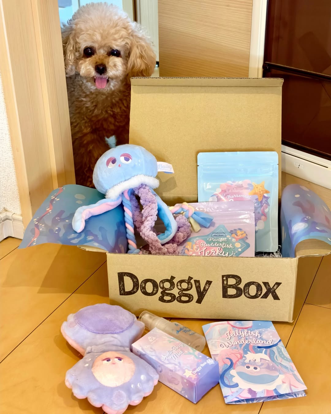 Instagram post by @lily__sta for Doggy Box. Caption reads: 今月のドギーボックスが到着🐶🧰
テーマは Jellyfish Wonderland....