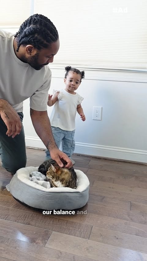 Instagram post by @abdulscats for Hill's Pet Nutrition. Caption reads: #Ad #HillsPartner No one really prepares you for....
