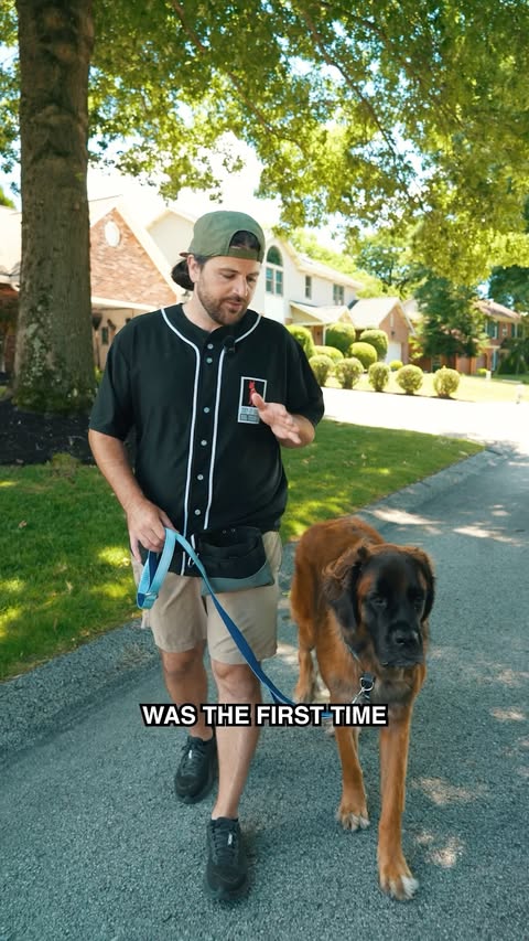 Instagram post by @sayitoncedogtraining for PetSafe. Caption reads: [...] dogs was the first time I used a PetSafe....