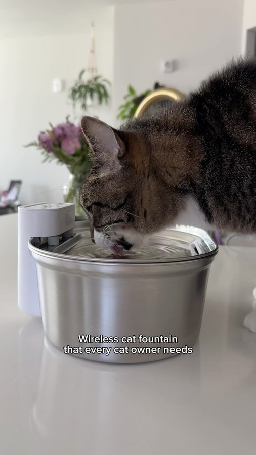 Instagram post by @herhouseofcats for Uahpet. Caption reads: [...] is perfect for cat owners 💦 | AD

This....