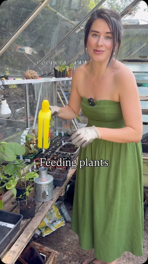 Instagram post by @louiseskitchengarden1 for Miracle-Gro. Caption reads: [...] with the all purpose plant food by....