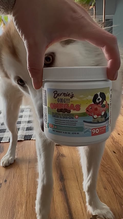 Instagram post by @meekothemoot for Bernie's Best. Caption reads: [...] #dogsoﬁnsta #dogmom #happydog #berniesbest....