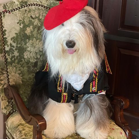 Instagram post by @oliverwhitfieldhudson for Southern Tide. Caption reads: Hi frenz. ... all dolled up to walk the red carpet....