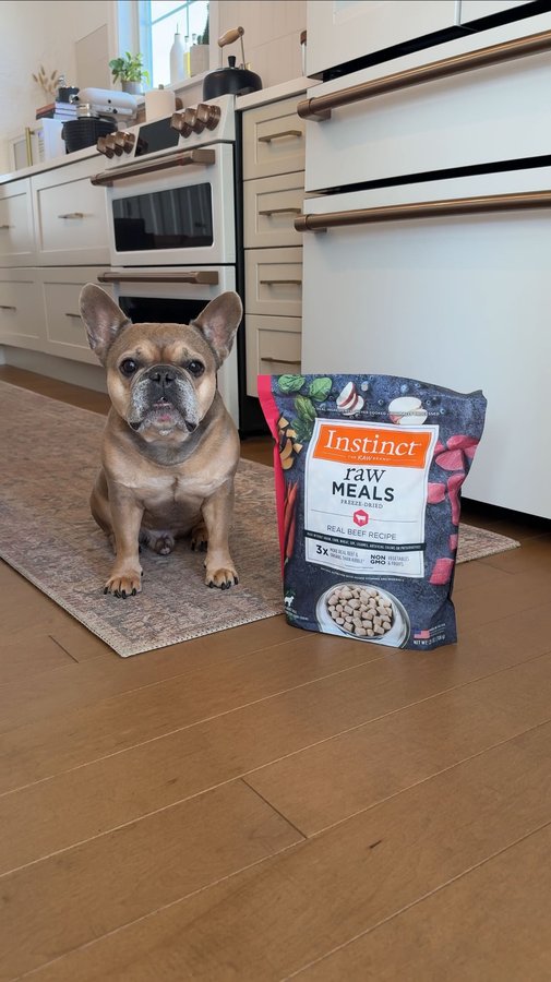 Instagram post by @tungstenfrenchie for Instinct Pet Food. Caption reads: [...] Raw 🤎 #ad

We have fed Tungsten....