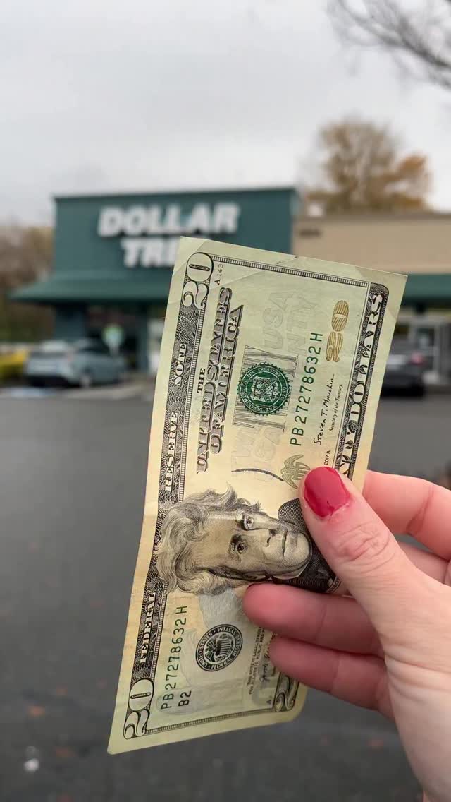 Instagram post by @dtdinners for Dollar Tree. Caption reads: $20 @dollartree Thanksgiving dinner for 4....