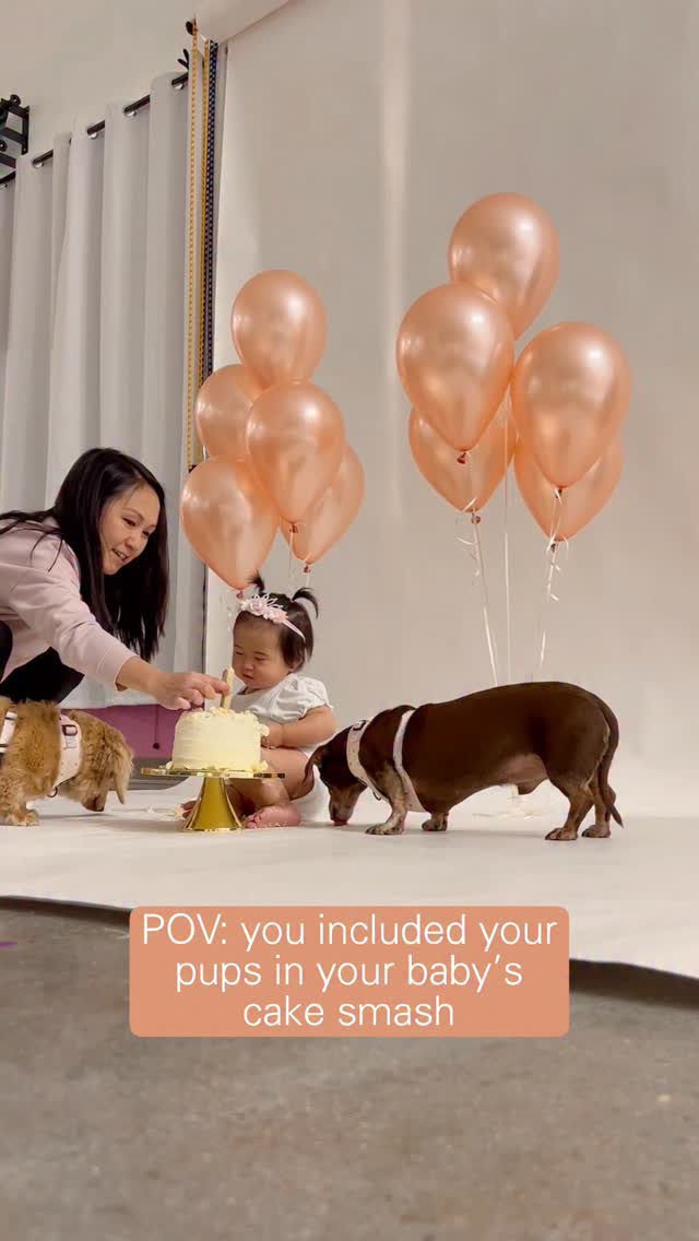 Instagram post by @mayathedox for Sassy Woof. Caption reads: ⊹ Our mini-boss babe Lizzie didn’t know exactly....