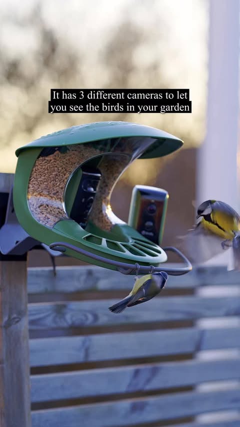 Instagram post by @pataluth for Birdfy. Caption reads: [...] for a 10% discount. 

I got sent a Birdfy....