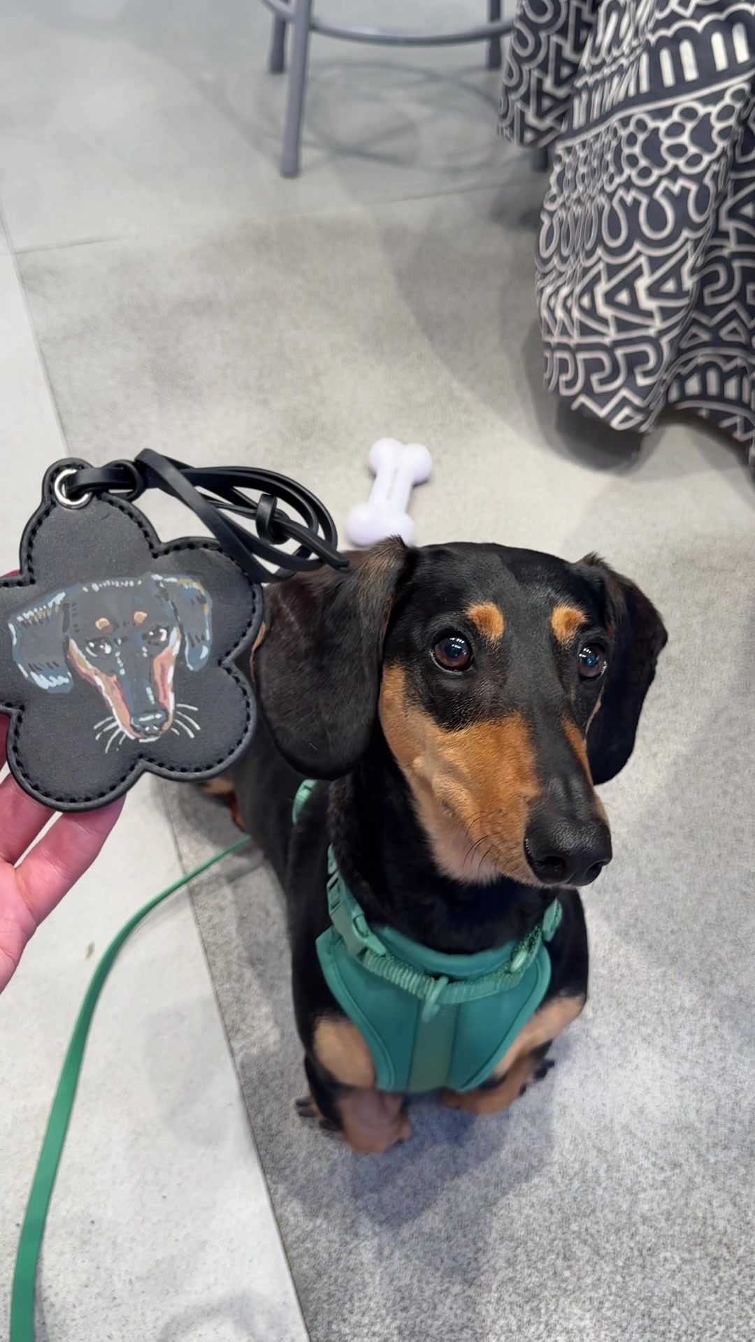 TikTok post by @carlyrivlin for Marc Jacobs. Caption reads: [...] I can. This time I went to the @marcjacobs....