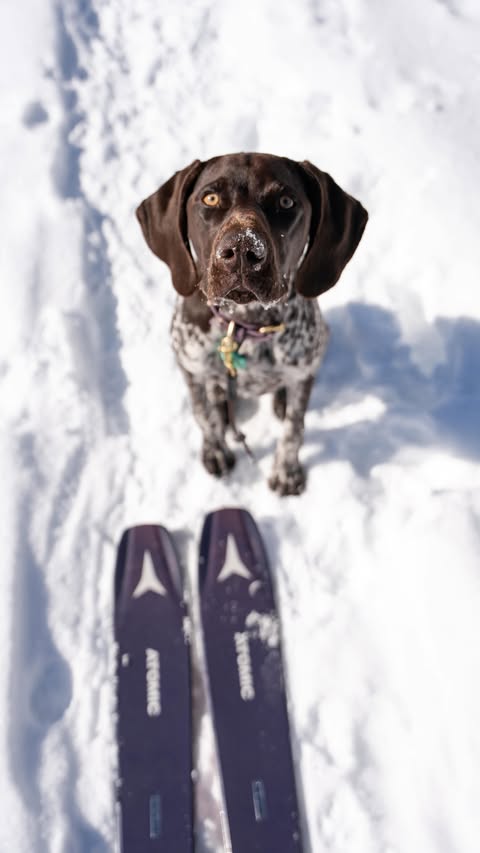 Instagram post by @comountainpack for Stio. Caption reads: [...] @winterparkresort ski outfit: @stio....