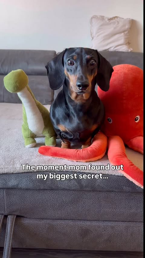 Instagram post by @noaathemini for Cheerble. Caption reads: Guys, mom found out about my little....