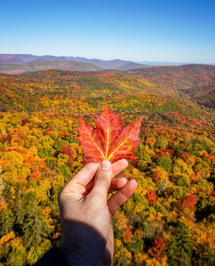 Instagram post by @lukekellytravels for Wilderness Culture. Caption reads: It’s been a good fall here in the Hudson Valley..