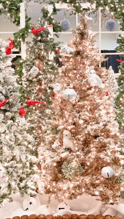 Instagram post by an influencer for BJ's Wholesale Club. Caption reads: [...] to start saving today! #BJsWholesaleClub....