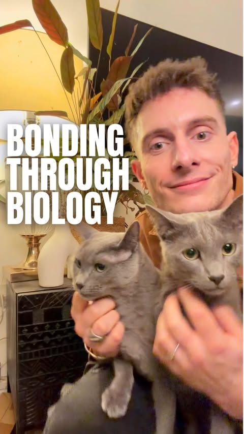 Instagram post by @riyadhk for KatKin. Caption reads: [...] My tiny tigers are loving their new....