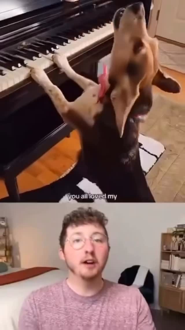 Instagram post by @maryannredmond for WeRateDogs. Caption reads: @weratedogs is one of my favorite platforms!! And....