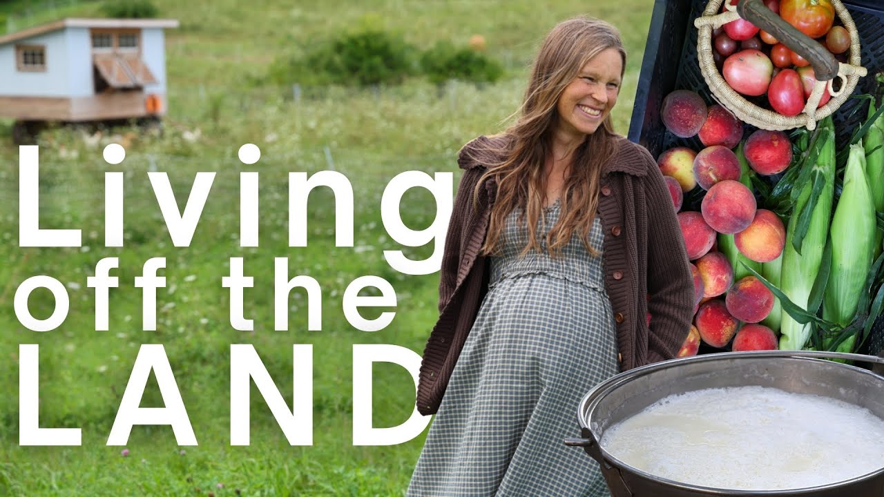 YouTube post by @FromScratchFarmstead for Chickcozy. Caption reads: The DAILY Realities of Growing our own food!.