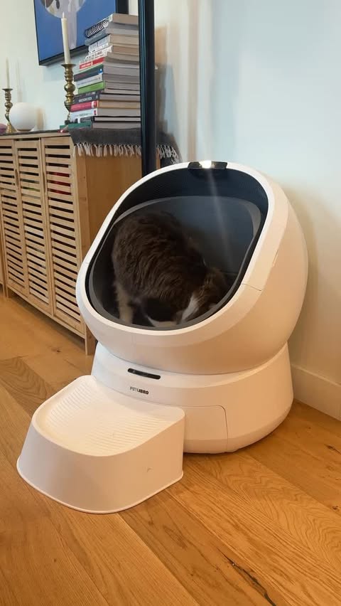 Instagram post by @agnesthetuxedo for Petlibro. Caption reads: [...] code!) sent straight to your DMs! This....