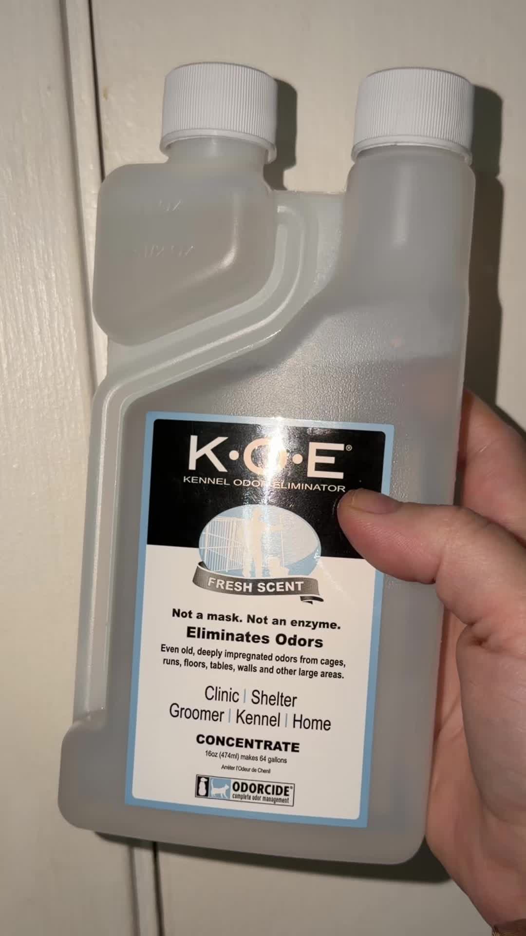 TikTok post by @itzz_kota1 for Odorcide. Caption reads: The cleaner that does it all @Odorcide....
