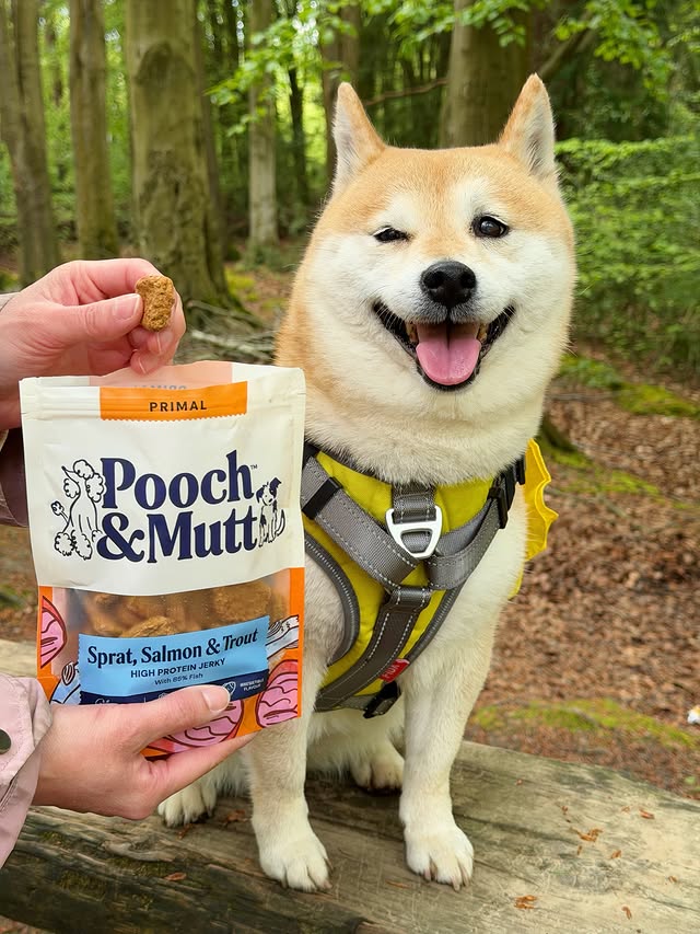 Instagram post by @inuharu0317 for Pooch and Mutt. Caption reads: [...] fishy snacks 🐶👇🏻 — Haru🐾 @poochandmutt....