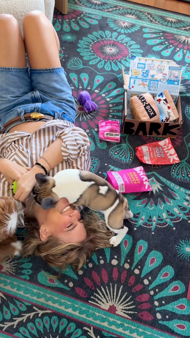 Instagram post by @katelynsailor for BarkBox. Caption reads: @bark is officially declaring dogs as co-owners of....
