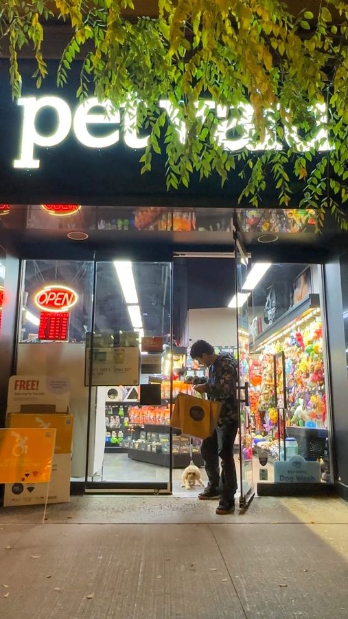 Instagram post by @rahul_jprakash for Pet Valu. Caption reads: [...] furry friend in your festivities!  🪔 
Pet....